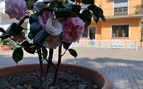 Ca Del Fili